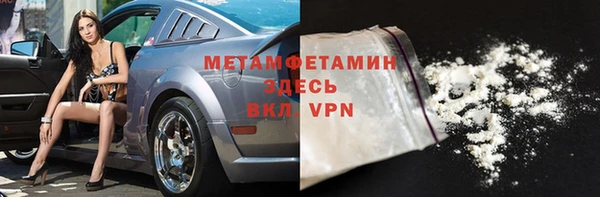 гидра Инта