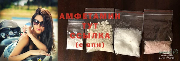 гидра Инта
