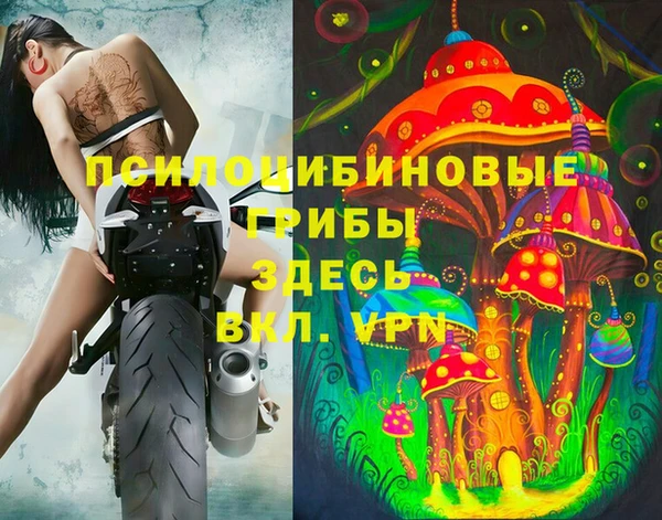 стаф Каменногорск