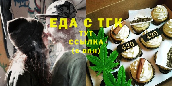 гидра Инта