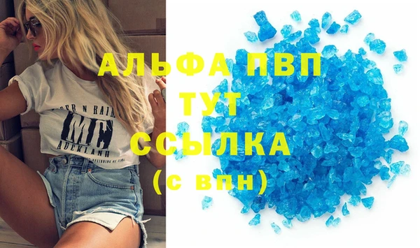 гидра Инта