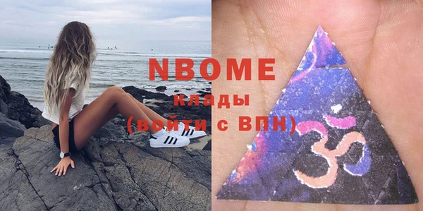 гидра Инта