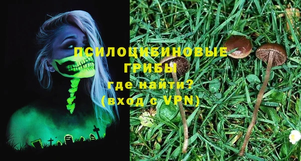 mix Каменка
