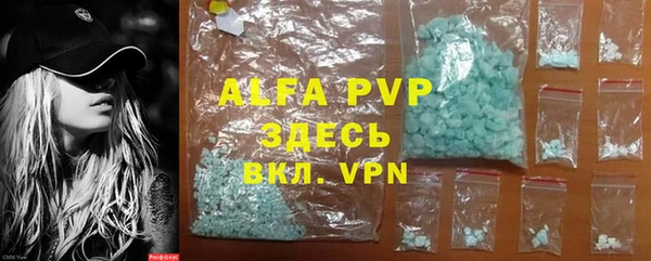 гидра Инта