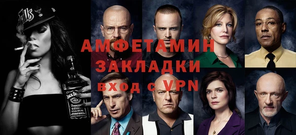 гидра Инта