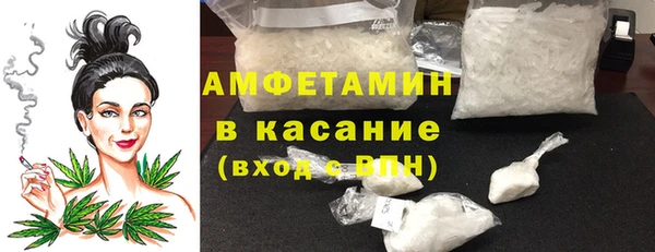 гидра Инта