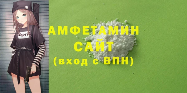 гидра Инта