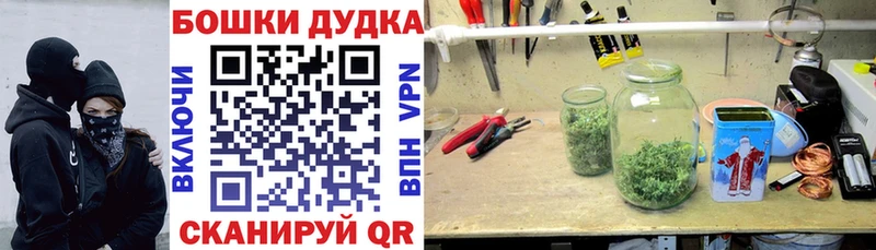 Конопля конопля  Купить где  Артёмовский 